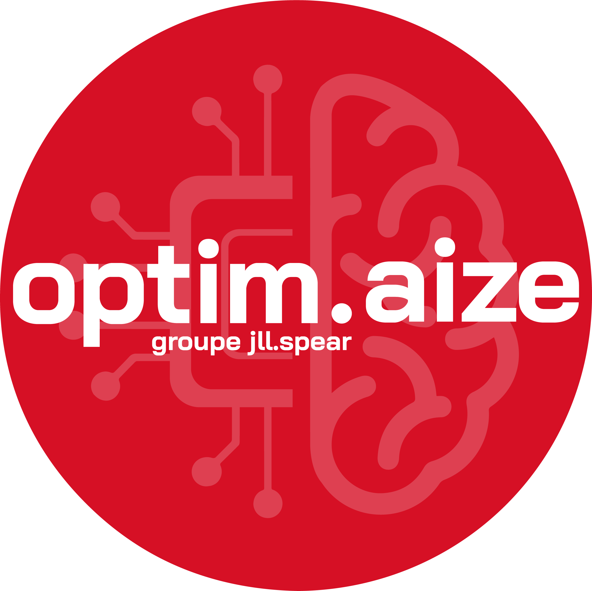 Optimaize Logo